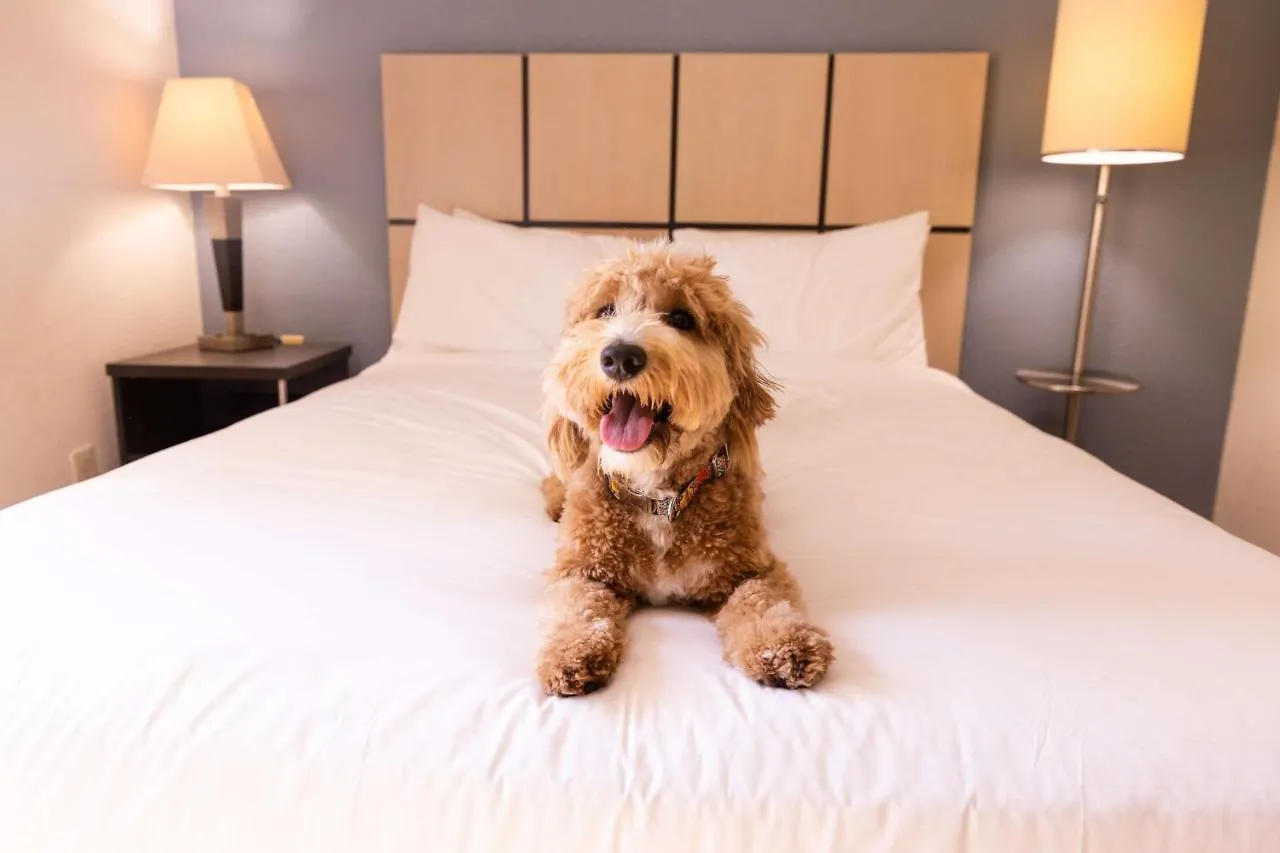 Sonesta Simply Suites Orange County Airport Santa Ana 3*,  United States