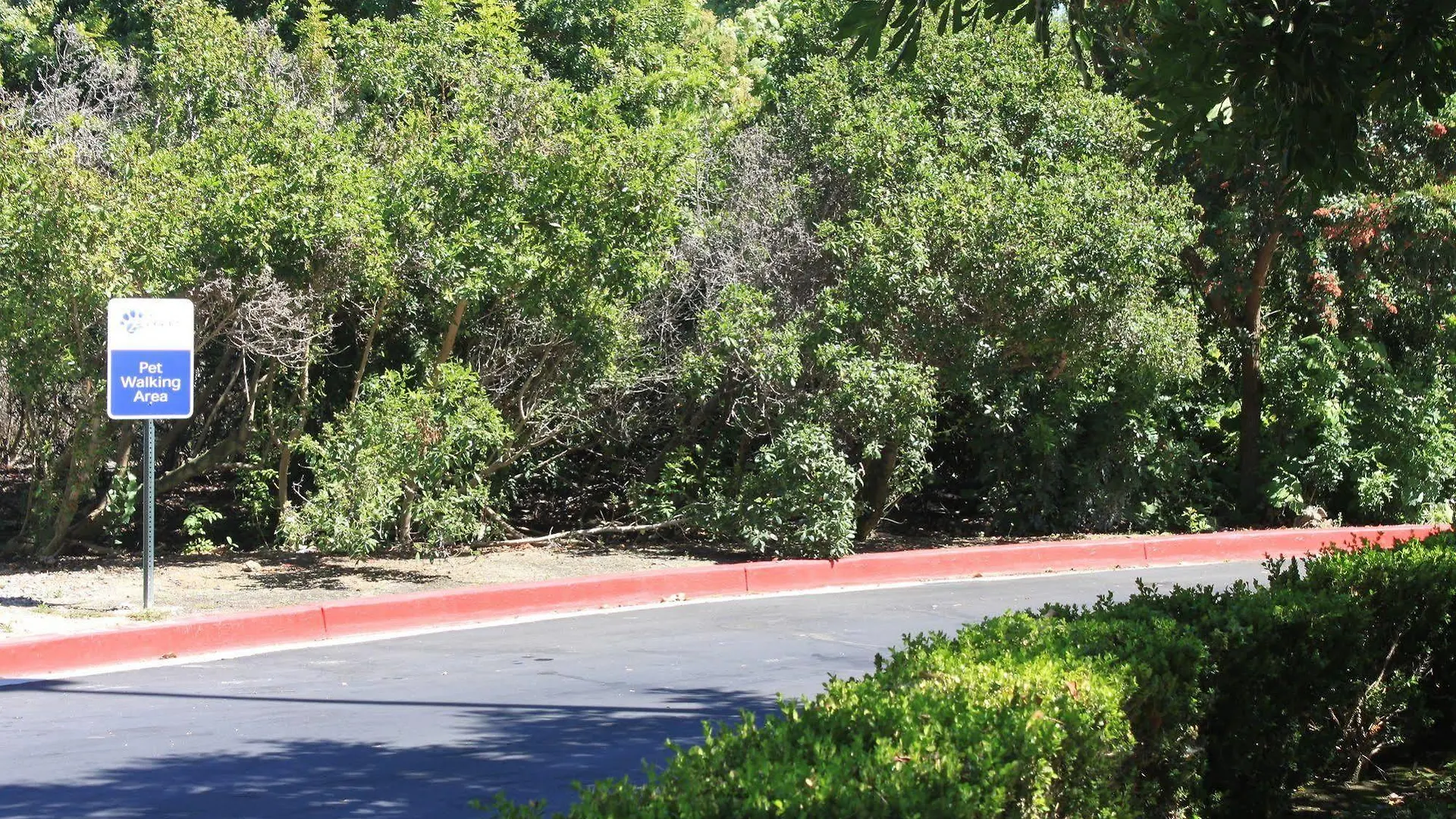 Sonesta Simply Suites Orange County Airport Santa Ana Hotel